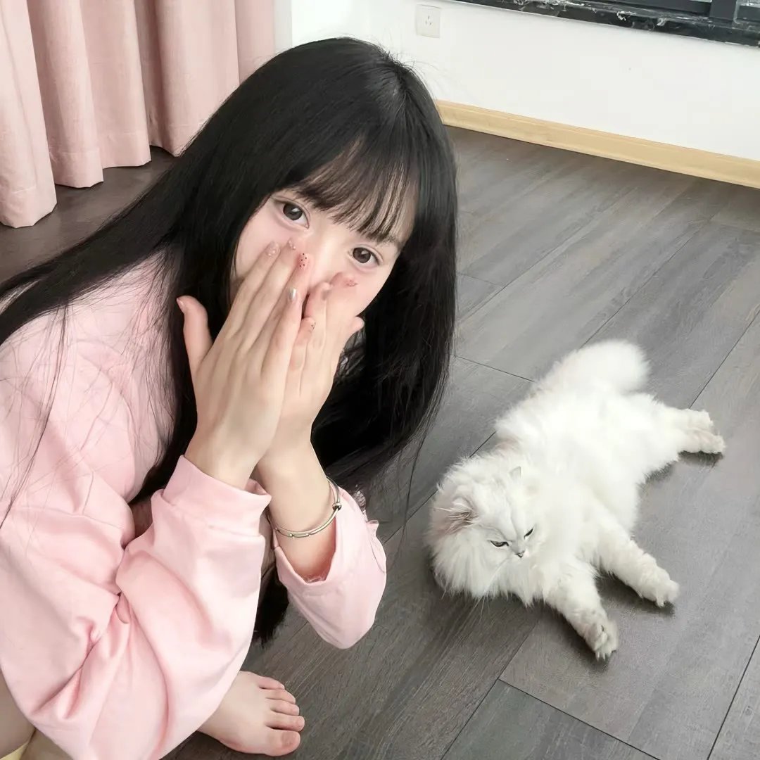 猫咪马汀